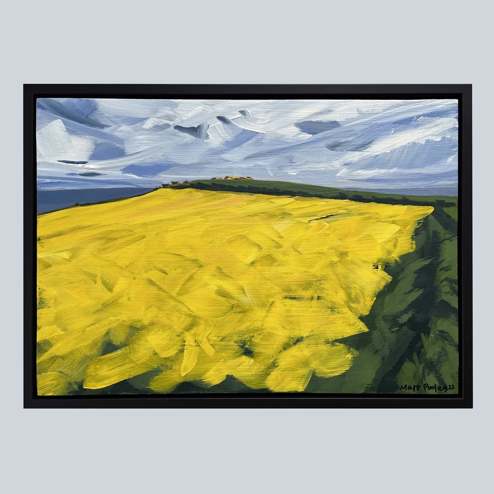 Canola+Field,+Hinderwell.JPG?